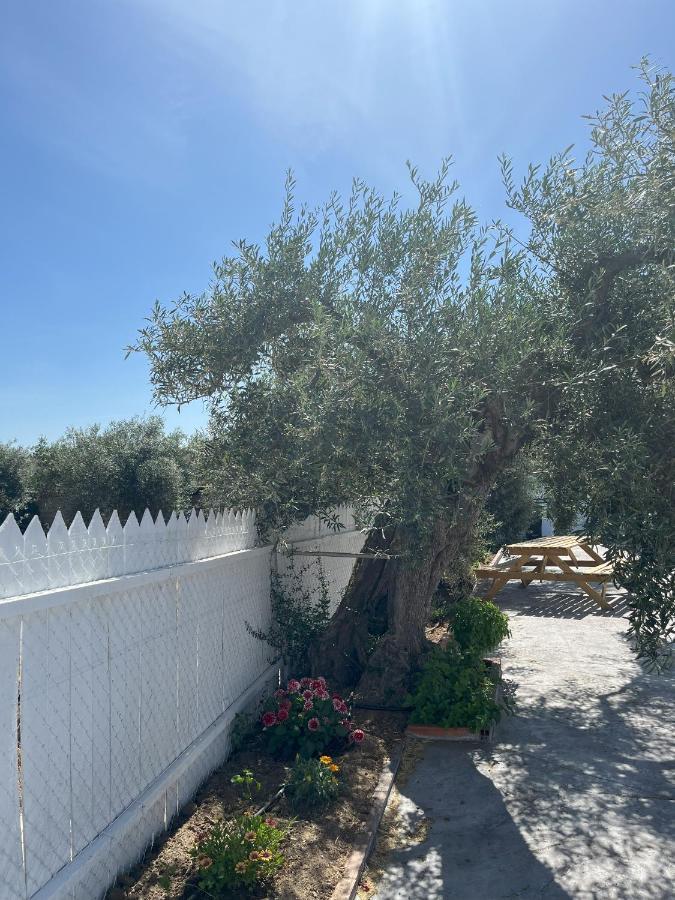 El Gallinero Almoharin Exteriör bild